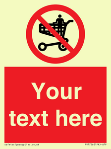 Custom prohibition no standing in trolley